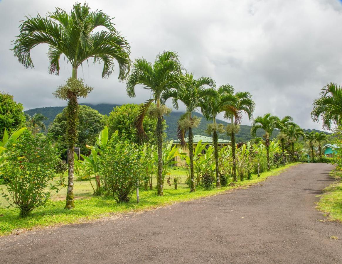 Hotel & Hot Springs Sueno Dorado La Fortuna 외부 사진
